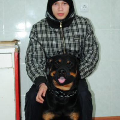 Phoca Thumb L Dsc 0560  Phoca Thumb L Dsc 0560